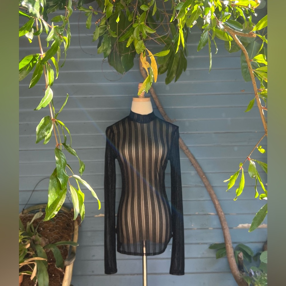 Vintage Noir Transparent Blouse